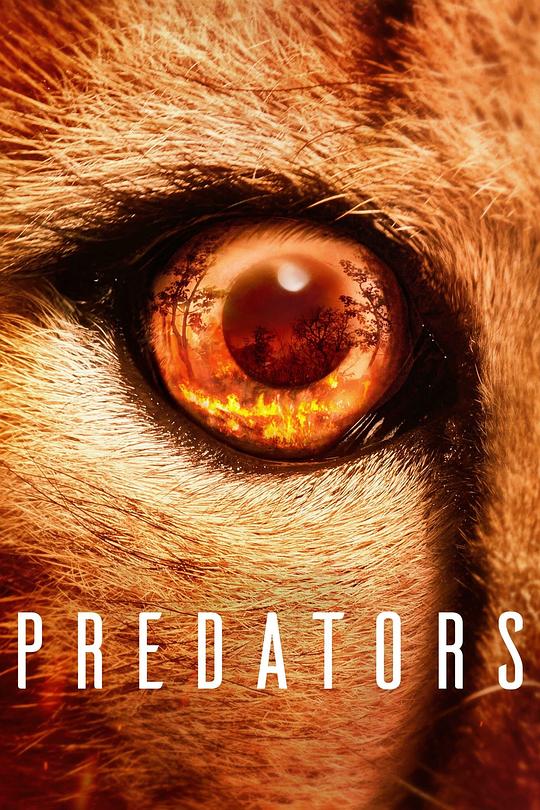 食肉动物 Predators (2022)