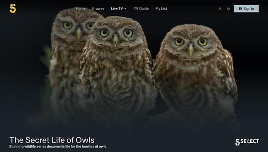 The Secret Life Of Owls  (2018)