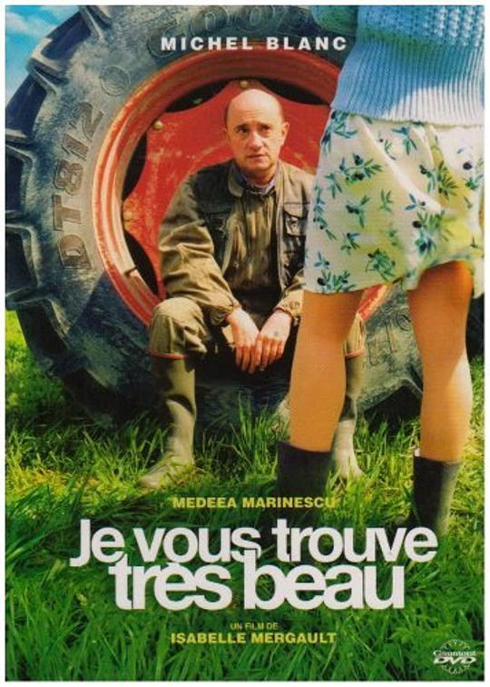 碰上爱情 Je vous trouve très beau (2005)