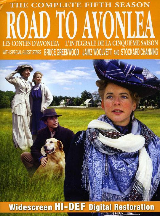 通往埃文利之路 第五季 Road to Avonlea Season 5 (1994)