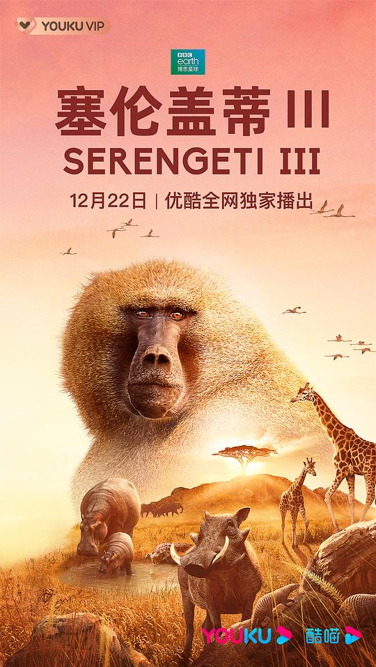 塞伦盖蒂 第三季 Serengeti Season 3 (2022)