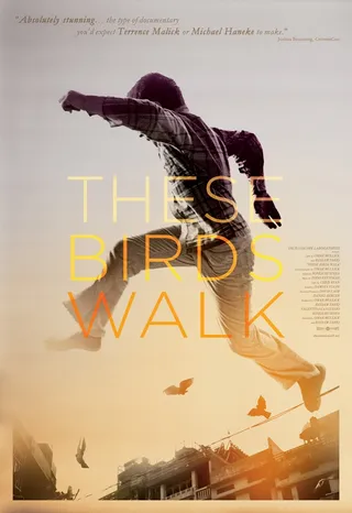 跑路鸟 These Birds Walk (2013)