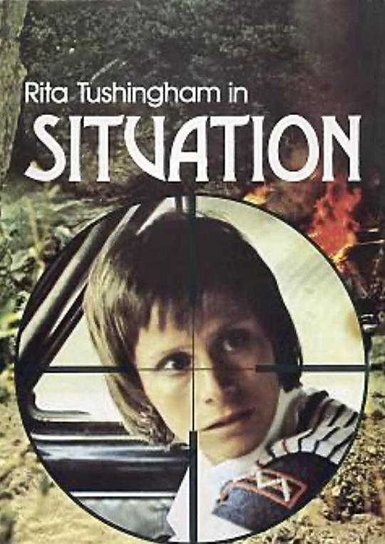 贼公计 Situation (1973)