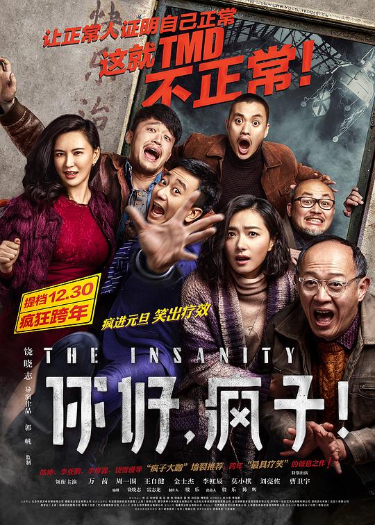 你好，疯子！  (2016)