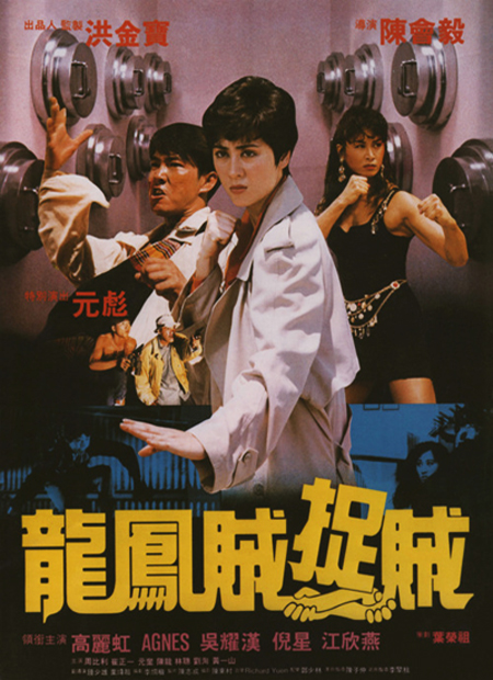 龙凤贼捉贼 龍鳳賊捉賊 (1990)