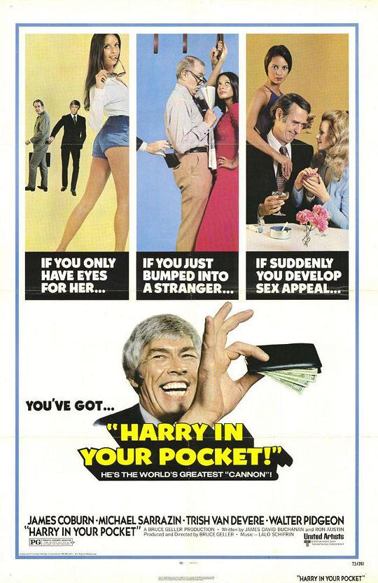 妙手空空大行动 Harry in Your Pocket (1973)