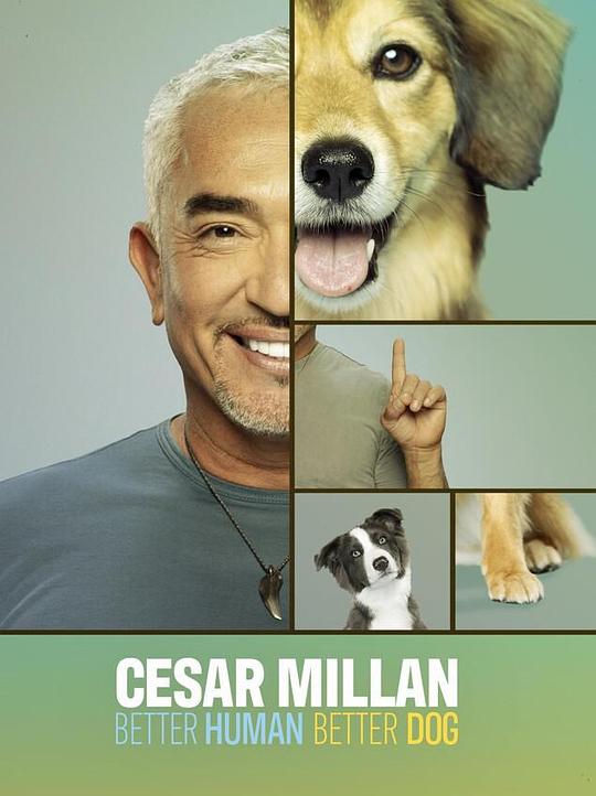 西泽教官狗主人训练班 第三季 Cesar Millan: Better Human Better Dog Season 3 (2023)
