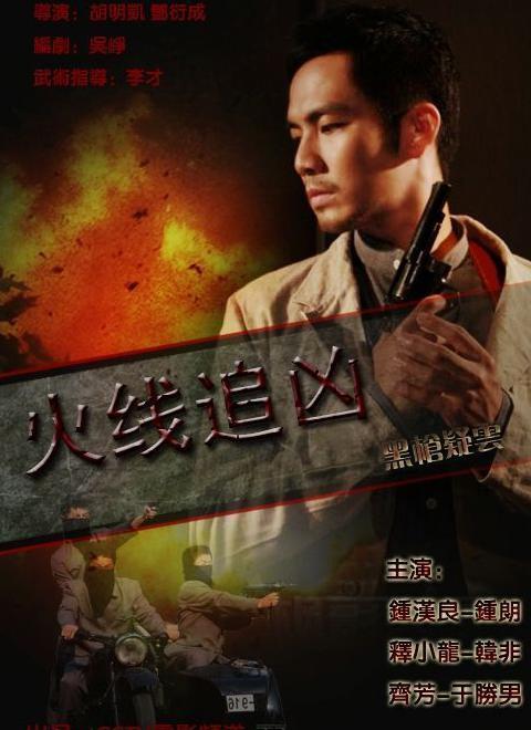 火线追凶之黑枪疑云  (2009)