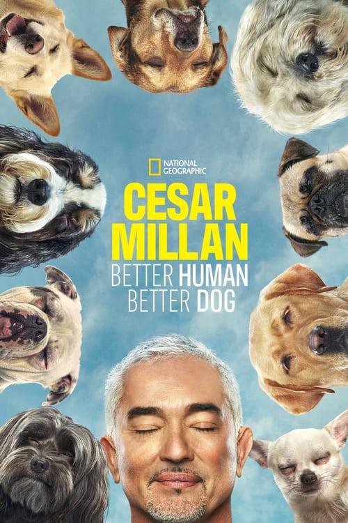 金牌训狗师：狗主人训练班 第一季 Cesar Millan: Better Human Better Dog Season 1 (2021)