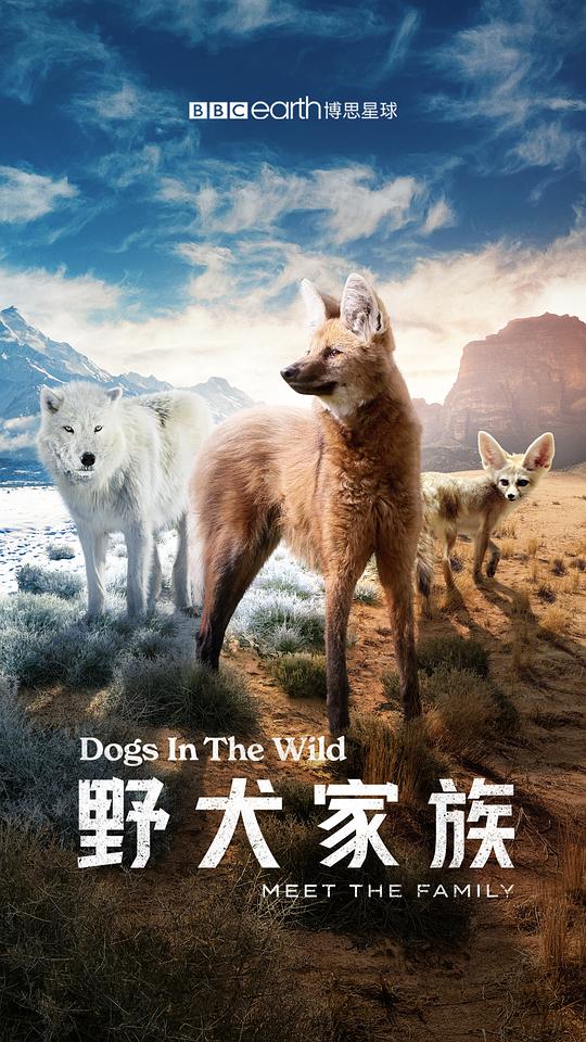 野犬家族 Dogs in the Wild: Meet the Family (2022)