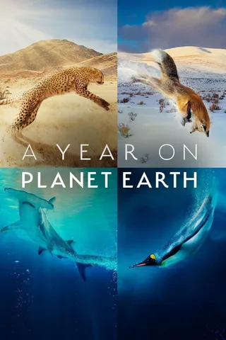 地球上的一年 A Year on Planet Earth (2022)