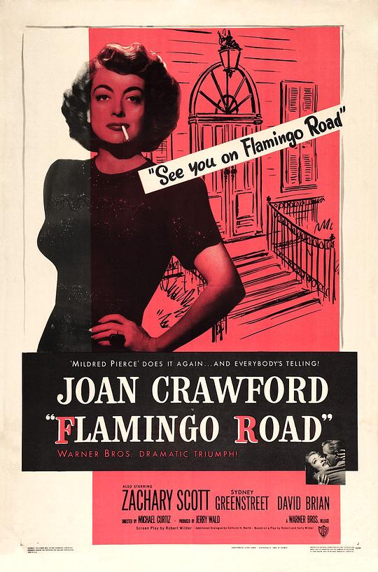 手足英雄 Flamingo Road (1949)