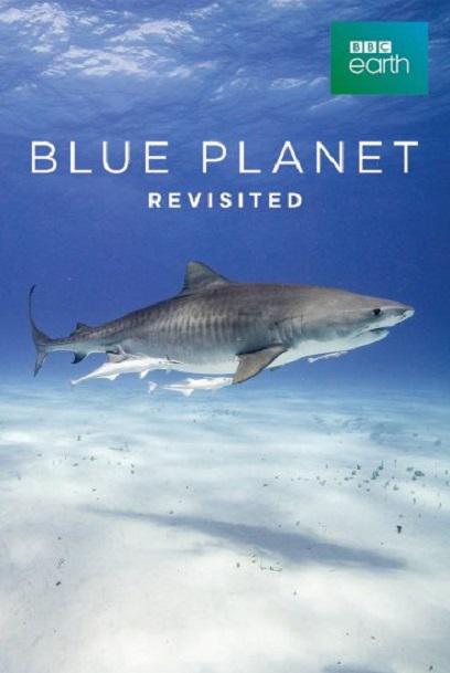 重访蓝色星球 Blue Planet Revisited (2020)