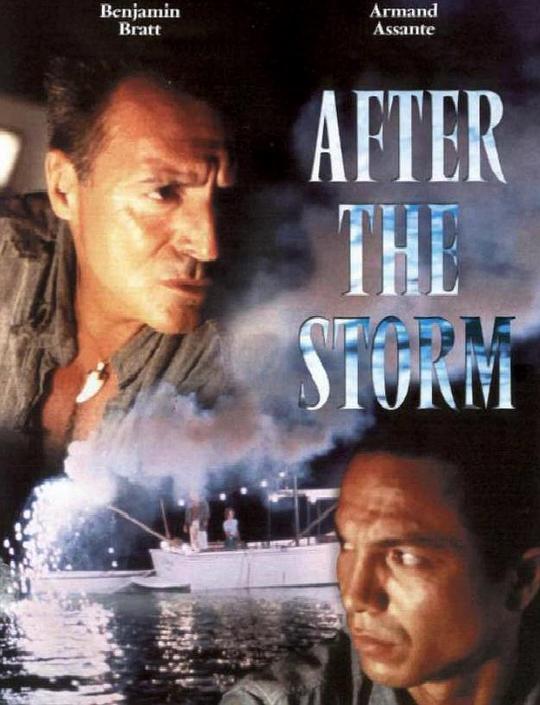 暴风雨过后 After the Storm (2001)