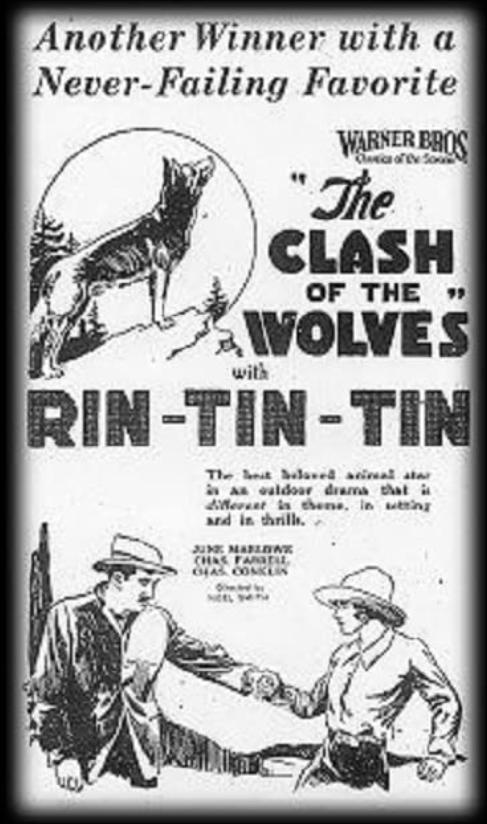 狼群的冲突 Clash of the Wolves (1925)