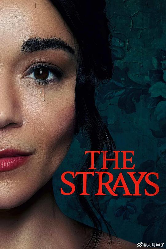 流浪者 The Strays (2023)