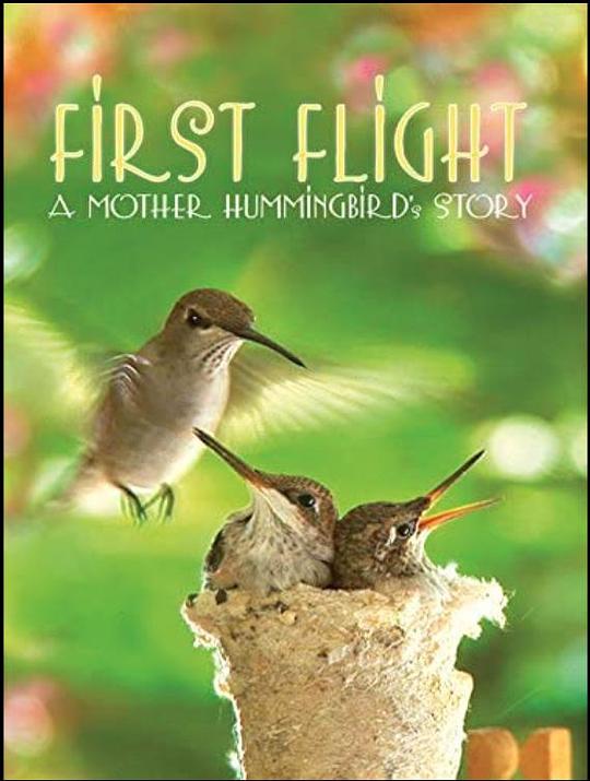 First Flight: A Mother Hummingbird's Story  (2009)