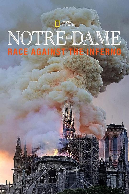 圣母院：与烈焰竞赛 Notre Dame: Race Against The Inferno (2019)