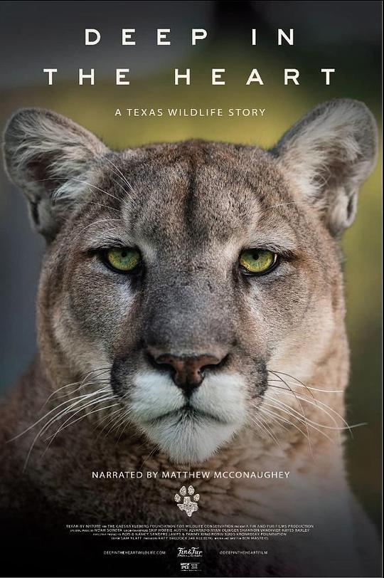 深入核心：德克萨斯野生动物的故事 Deep in the Heart: A Texas Wildlife Story (2022)