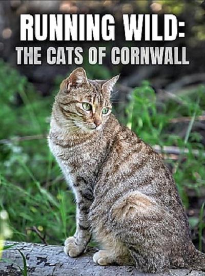 Running Wild: The Cats of Cornwall  (2020)