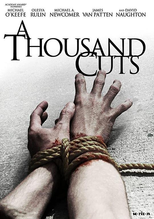 千刀万剐 A Thousand Cuts (2011)