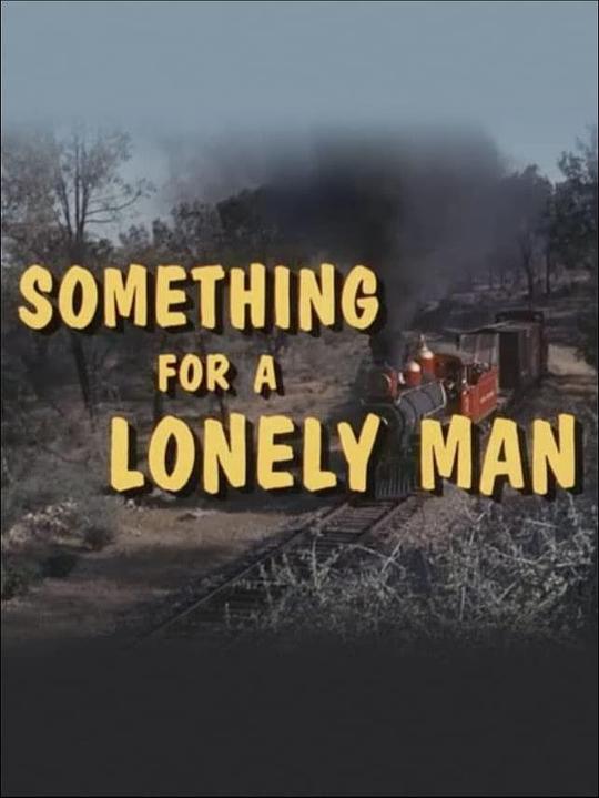 锦绣前程 Something for a Lonely Man (1968)