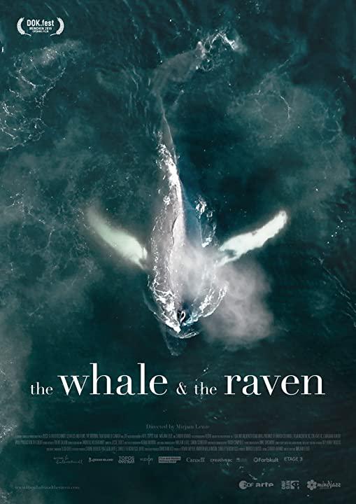 The Whale and the Raven  (2019)