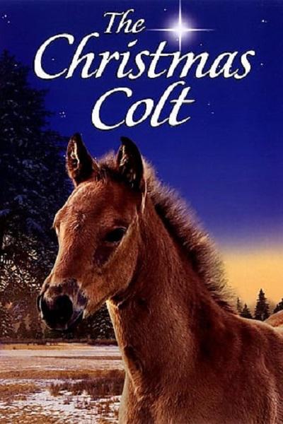 The Christmas Colt  (2013)