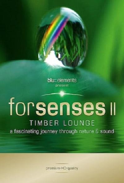 蓝色元素2 Blu Elements Forsenses II Timber Lounge (2010)