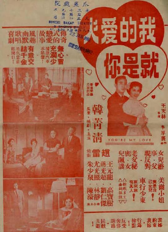 我的爱人就是你  (1960)