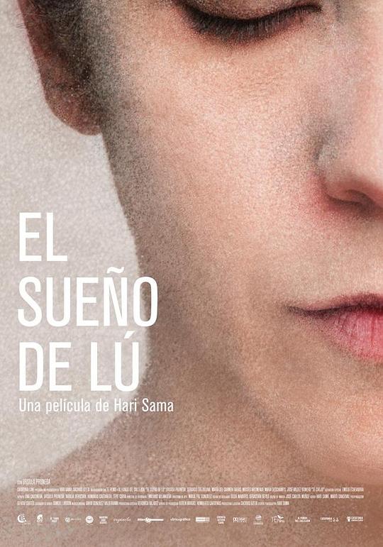 悲伤成梦 El sueño de Lu (2012)