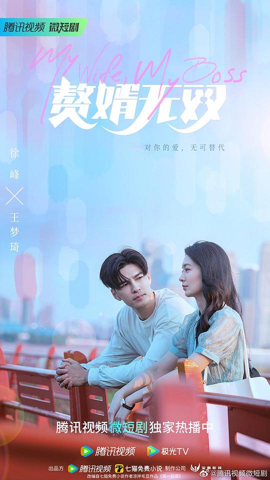 赘婿无双  (2023)