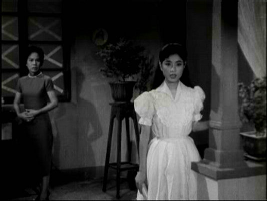 嫂夫人  (1962)