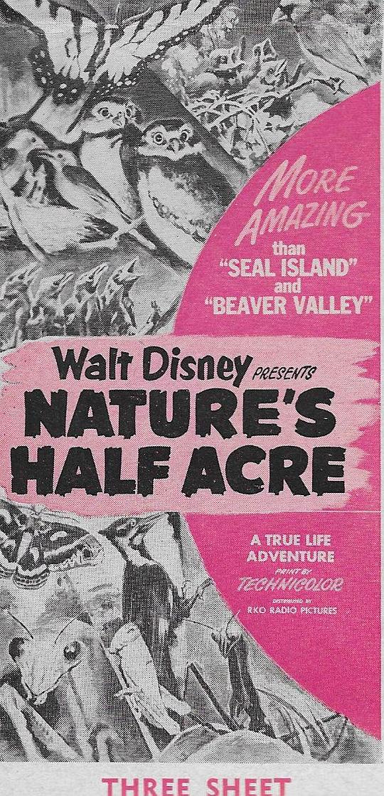 大自然的50英亩 Nature's Half Acre (1951)