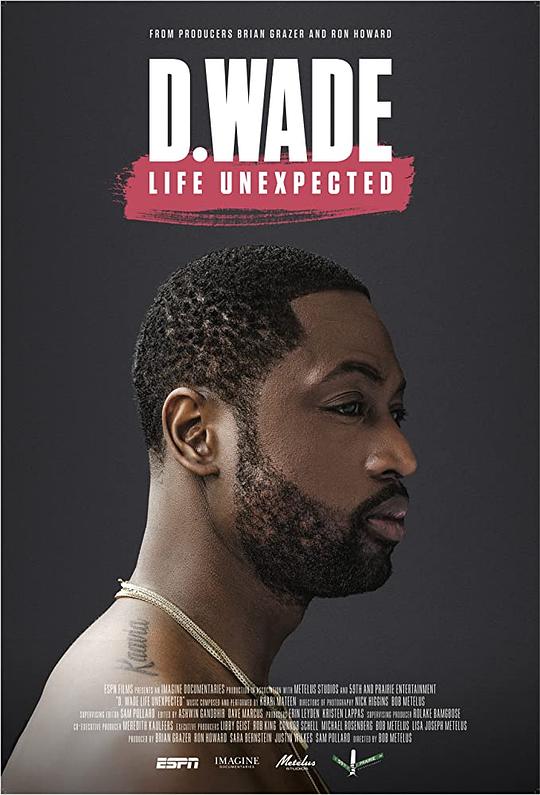 不期而遇 D. Wade: Life Unexpected (2020)