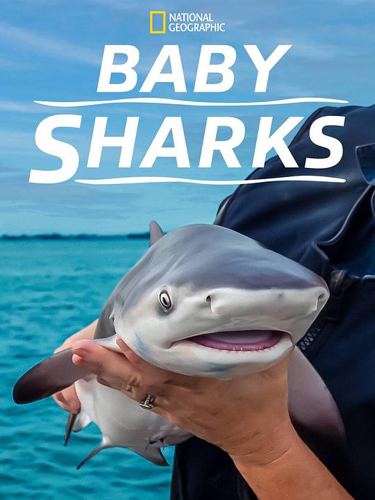 鲨鱼宝宝成长记 Baby Sharks (2022)