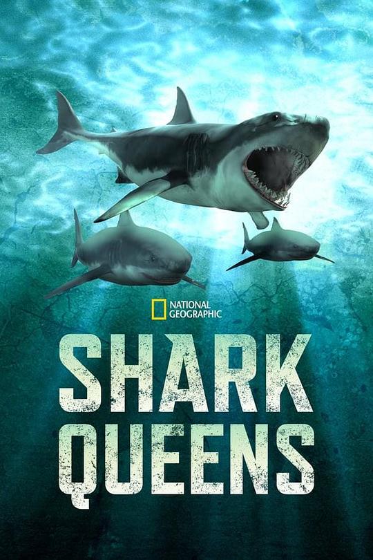 女王鲨 Shark Queens (2022)