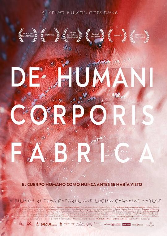 人体结构 De Humani Corporis Fabrica (2022)