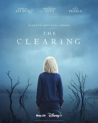 晴空 The Clearing (2023)