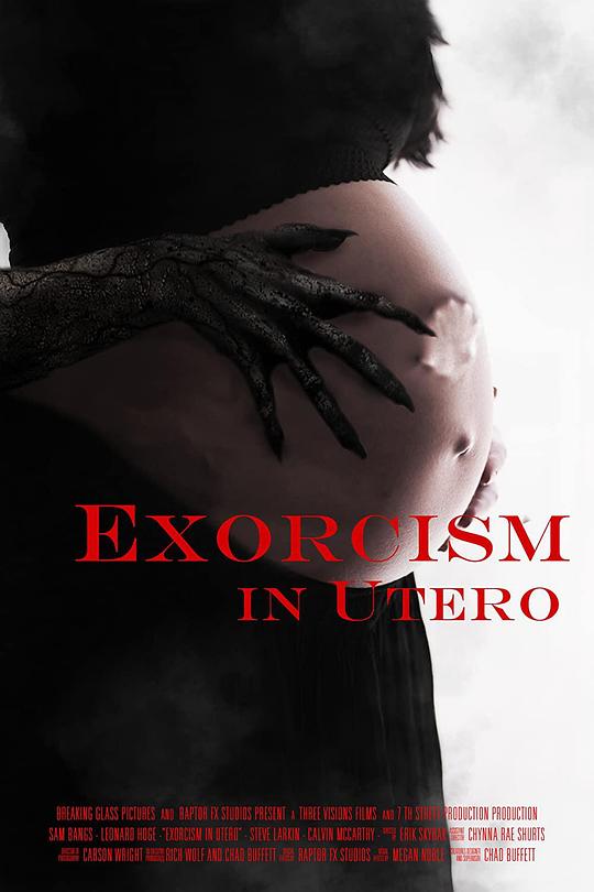 胎儿驱魔 Exorcism in Utero (2023)