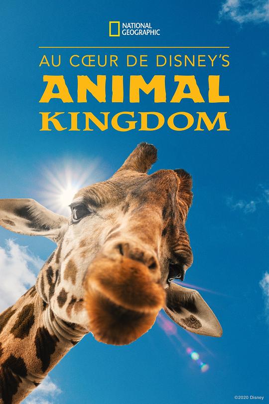 迪士尼动物王国 第二季 Magic of the Animal Kingdom Season 2 (2023)