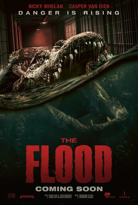 致命洪灾 The Flood (2023)