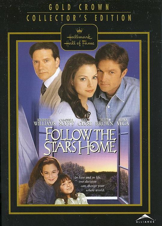 真爱无价 Follow the Stars Home (2001)