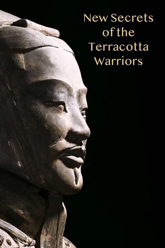 兵马俑的新秘密 New Secrets of the Terracotta Warriors (2013)