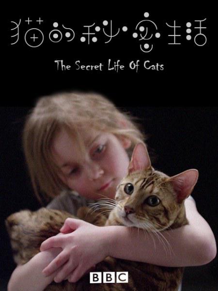 猫的秘密生活 Secret Life of Cats (2019)