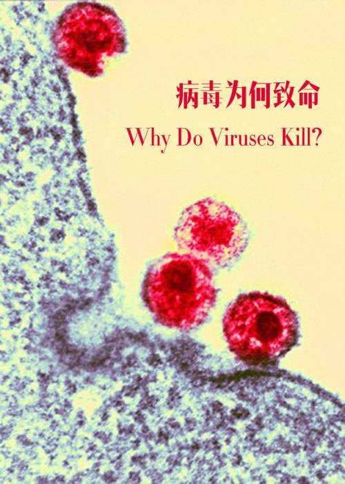 病毒为何致命 Why Do Viruses Kill (2010)