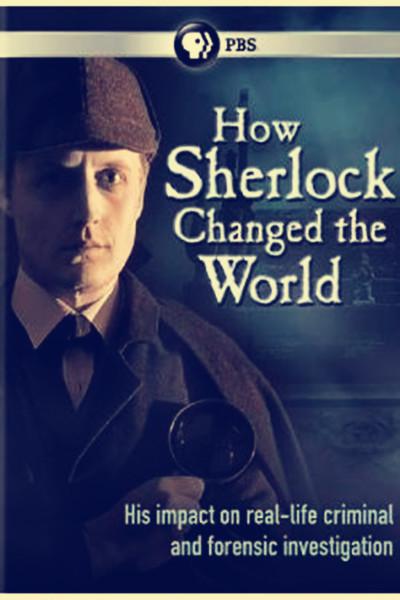 福尔摩斯改变世界 How Sherlock Changed the World (2013)