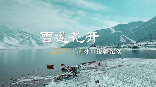 雪莲花开——对口援疆纪实  (2021)