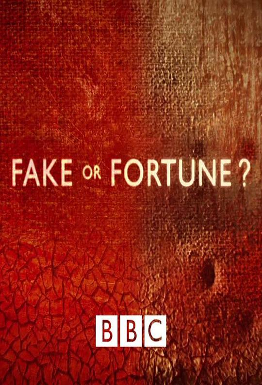 赝品或珍品？ 第一季 Fake or Fortune? Season 1 (2010)