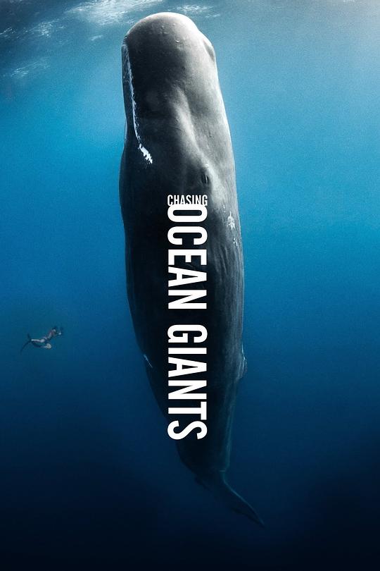 追踪海洋巨兽 Chasing Ocean Giants (2021)